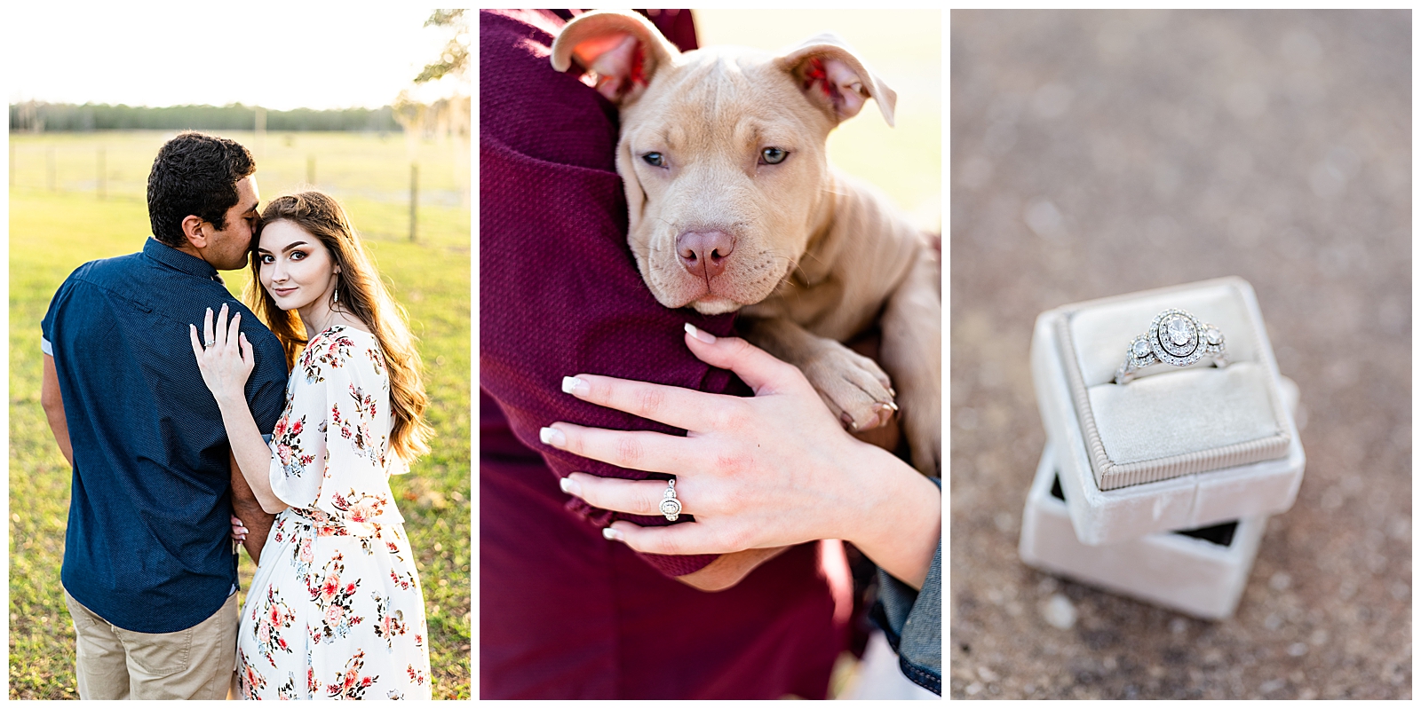 rustic sunset engagement puppy engagement ring